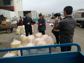 威海市人民政府 部門快訊 市食品藥品監(jiān)管局二次突擊檢查威海市農(nóng)副產(chǎn)品批發(fā)市場(chǎng)豆芽